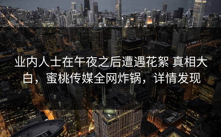 业内人士在午夜之后遭遇花絮 真相大白，蜜桃传媒全网炸锅，详情发现