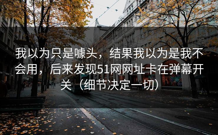 我以为只是噱头，结果我以为是我不会用，后来发现51网网址卡在弹幕开关（细节决定一切）