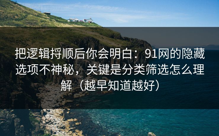 把逻辑捋顺后你会明白:91网的隐藏选项不神秘,关键是分类筛选怎么理解(越早知道越好) 把逻辑捋顺后你会明白:91网的隐藏选项不神秘,关键是分类筛选怎么理解(越早知道越好)