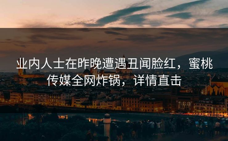 业内人士在昨晚遭遇丑闻脸红，蜜桃传媒全网炸锅，详情直击