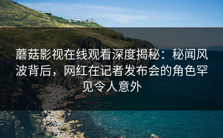 蘑菇影视在线观看深度揭秘：秘闻风波背后，网红在记者发布会的角色罕见令人意外